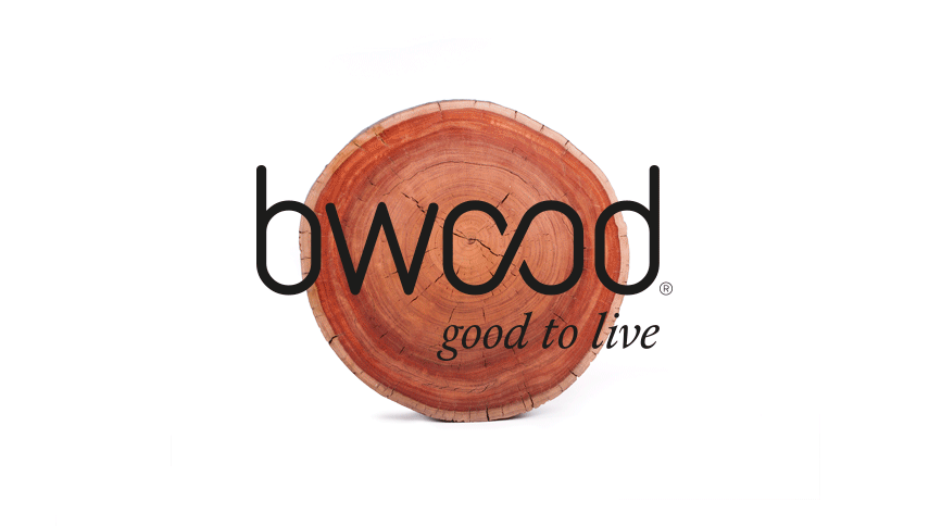 diseÃ±o de logotipo, naming, branding, web, foto de producto, bwood.
